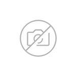  Fat AVP électrique usagé