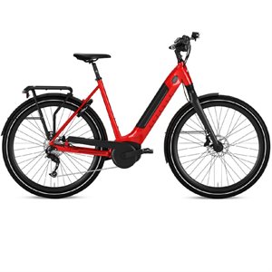 Ultimate T10 HMB 46cm Red Champion