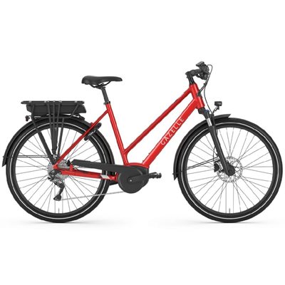 Medeo T9 HMB 45cm Red Champion