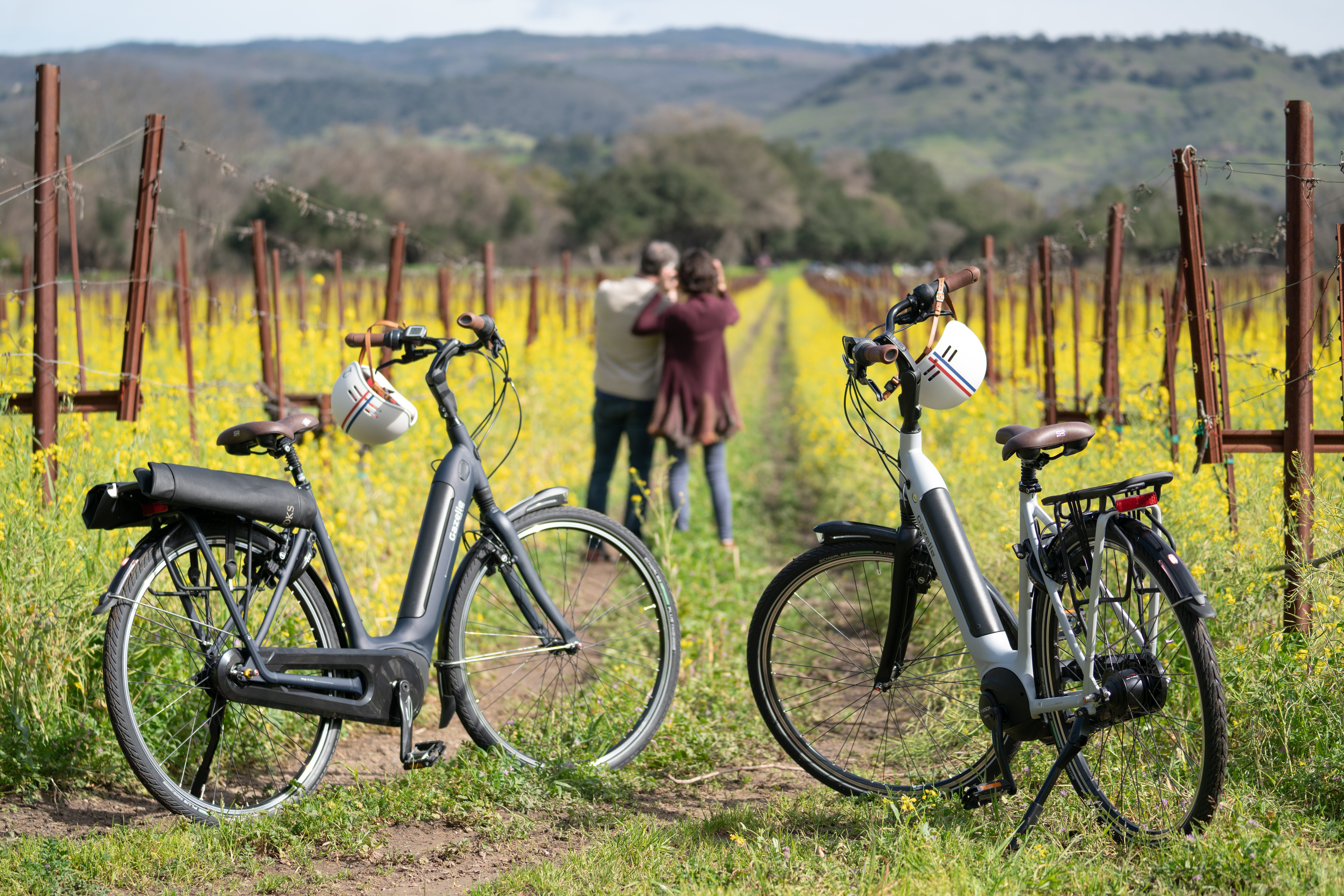 Carrousel-1 Carrousel-1